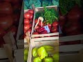 Hırvatistan ‘da sebze ve meyve fiyatları
