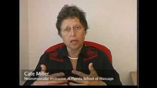what is neuromuscular therapy nmt cate miller