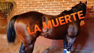 LA MUERTE - EL RG ROGELIO GARNICA