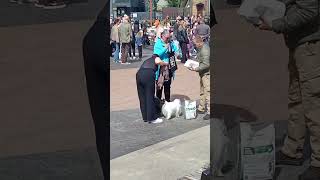 Kalamajas Koertele Medalid Kaela