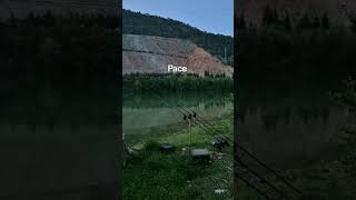 Attimi di pura Pace #fishing #carpfishing #carphunter #fishing #viralvideo #perte