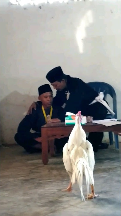 Cek Jago Putih, Calon warga baru 2023 #psht #tesjago