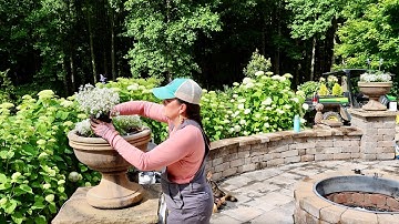 3 Simple Stunning Containers for the Garden