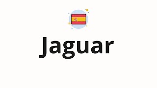 How to pronounce Jaguar