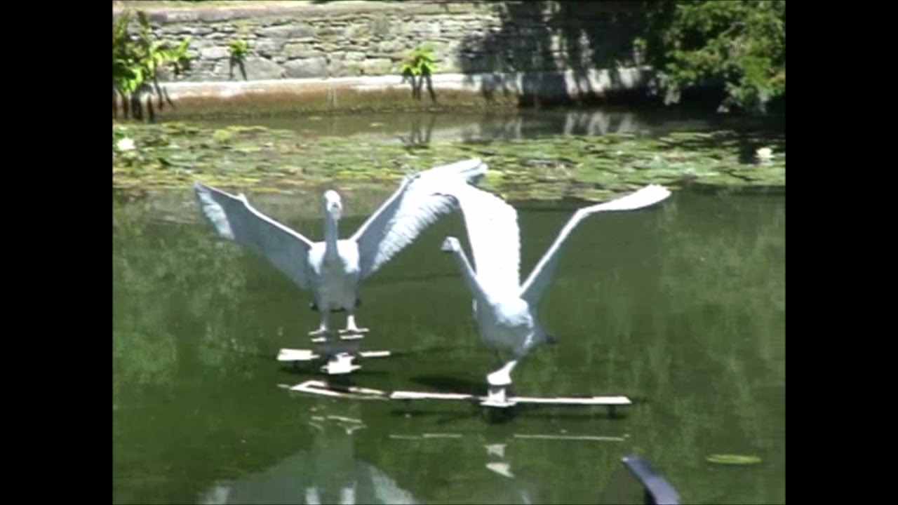 Le Manoir Aux Quat Saisons