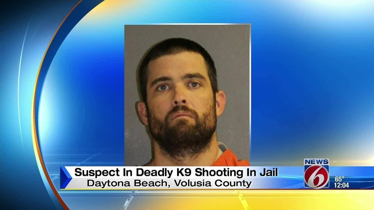 Man accused of killing K-9 unit in jail - YouTube