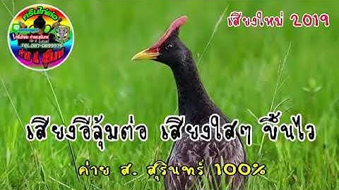 เสียงอีลุ้มใหม่ 2019/02 สนใจติดต่อ #0990610057