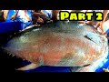 Part 2 - Ga Kalabaw na Tuna | 400kg Blue Fin Tuna caught in Pacific Ocean