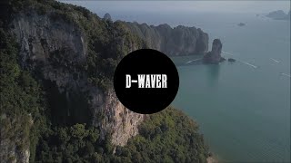 SUMMER MIX 2020 | D-WAVER