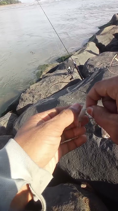 Pria ini tak sadar pancingnya telah ditarik #fishing #carpfishing #fish
