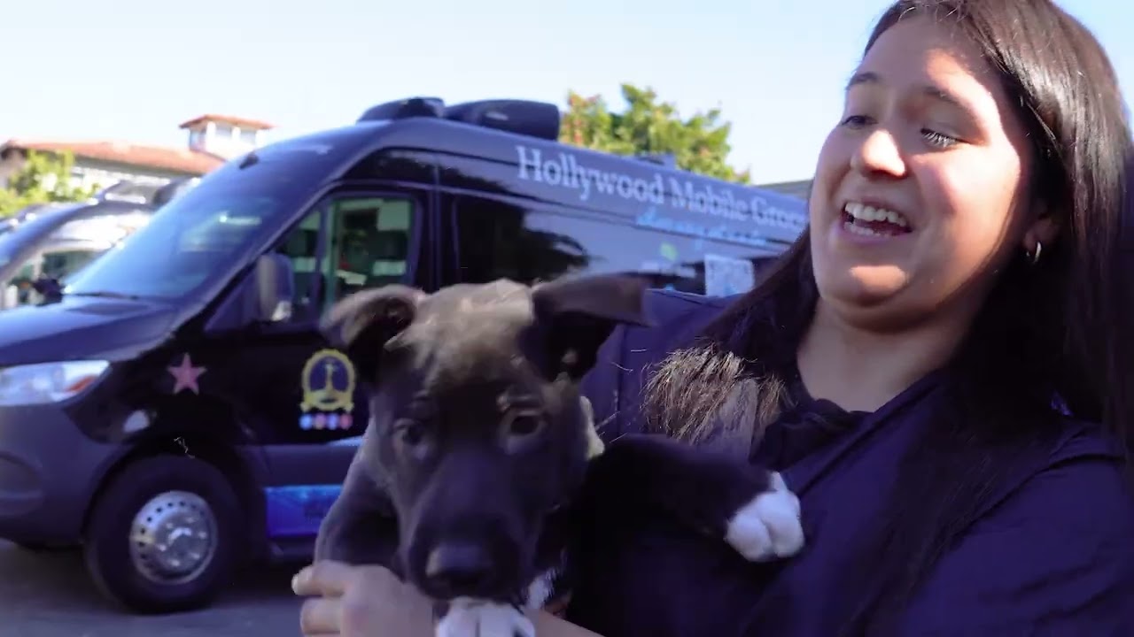 Hollywood Mobile Grooming at a Pasadena Humane Society adoption event