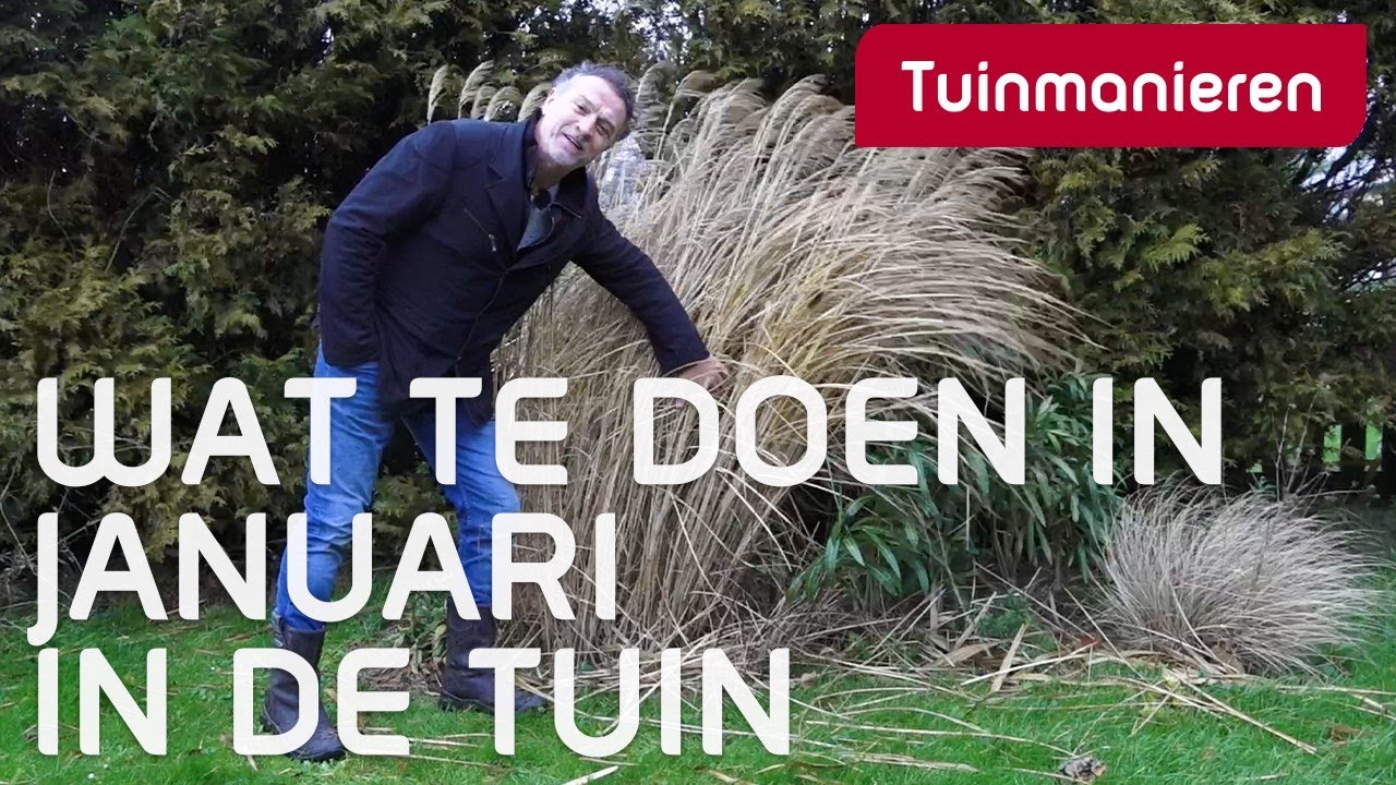 Bot verlies uzelf Gepensioneerde Januari in de tuin, wat te doen? | Winter | Tuinmanieren - YouTube