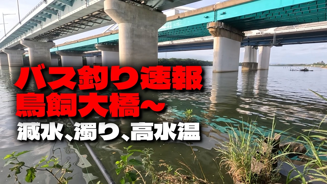 鳥飼大橋～中流域7/13減水と濁りの本流＃淀川バス釣り