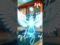 Https Youtu Be W2urVRf Z8 Si I5ZGejNAqLWSX7LV Https Youtu Be W2urVRf Z8 Si I5ZGejNAqLWSX7LV