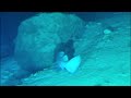 Seamagine submersibles 700m deep dive