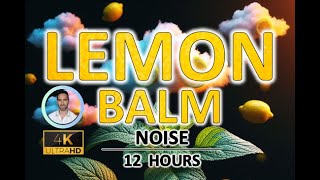 Soothing Lemon Balm Noise for Anxiety Relief and Reducing Stress | 12 Hours | Sleep and Study