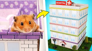 DIY-Krankenhaus für Hamster 🐹 Fünf-Ebenen-Labyrinth 🏥❤️