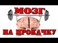 МОЗГ НА ПРОКАЧКУ (развитие мозга)