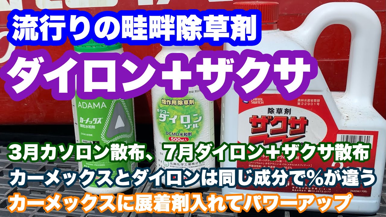 流行りの畦畔の除草剤の組み合わせ！ダイロン＋ザクサ！カーメックスもあるよ！