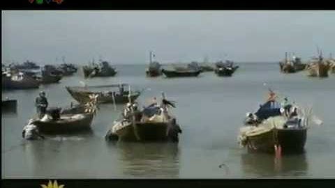 Nước mắm nhỉ cá cơm Phan Thiết