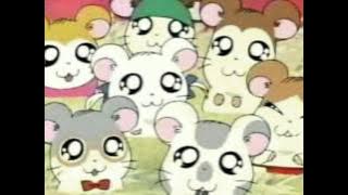 Hamtaro Japanese OP