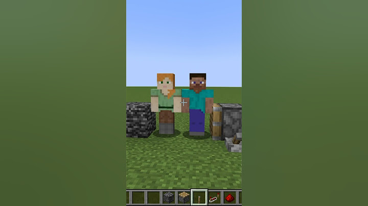 steve + alex = ?