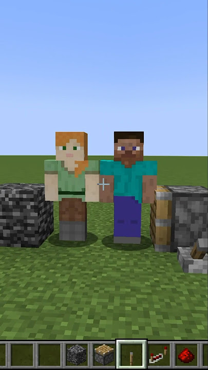 steve   alex = ?