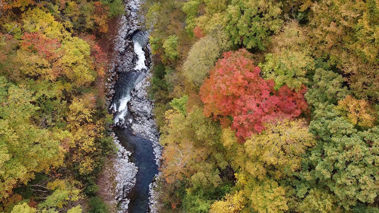 裏磐梯の紅葉 中津川渓谷 磐梯吾妻スカイライン 五色沼 Youtube 裏磐梯の紅葉 中津川渓谷 磐梯吾妻スカイライン 五色沼 Youtube