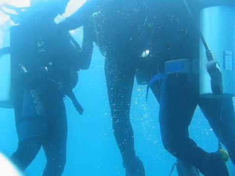 Exercice de sauvetage plongée ouvert à tout niveau Neuchâtel Bienne Suisse