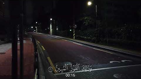 قُلْ إِنِّي أَخَافُ إِنْ عَصَيْتُ رَبِّي عَذَابَ يَوْمٍ عَظِيمٍ )     { سورة الأنعام 