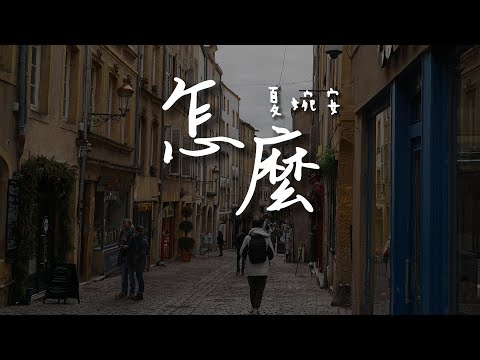 夏婉安 - 怎麼「怎麼才能夠讓自己 放下執著 成全你要的結果」【動態歌詞/PinyinLyrics】#熱門歌曲  #動態歌詞 #lyrics