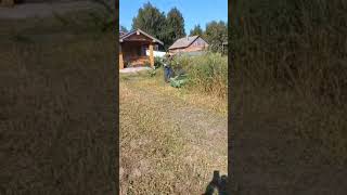 Евгений Федулин  покос травы Мульчером Видео от клиента ! Бурьянокосилка ТС 1000