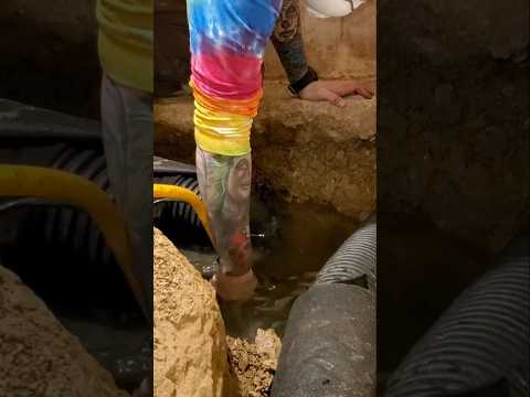 Crawl Space Company Training | Have You Created A Business Or A Job
