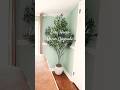 Easy Home Decor Upgrade “Amazon home decor find” Olive Tree &amp; Anthropologie Pot Styling