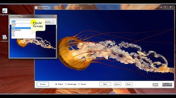Image Viewer made by Visual Basic .net (Visual Stuido)