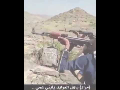 مأرب مراد مشايخ قبيلة مراد في مقدمة الصفوف الأمامية الشيخ محمد علي عامر المطوع