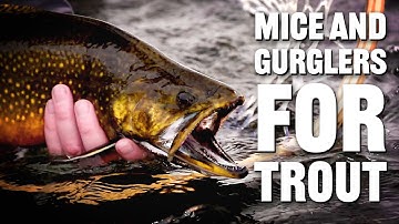 Mice & Gurgler Patterns for Trout | Tom Rosenbauer