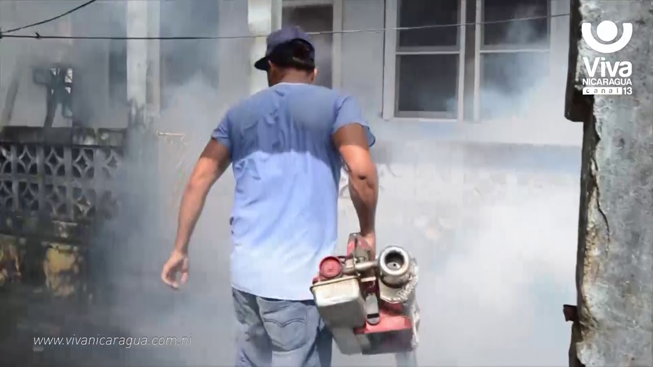 canal 13 fugitiva Bluefields batalla contra el mosquito a través del ejército celeste