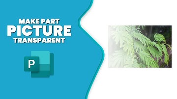 How to make part of a picture transparent in publisher