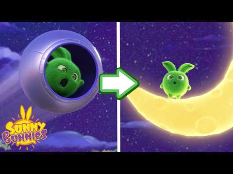 Hopper Flies To The Moon 🌙 | Sunny Bunnies | Funny Cartoons For Kids