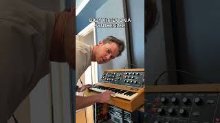 BABY KITTEN IMPRESSION ON A SYNTHESIZER