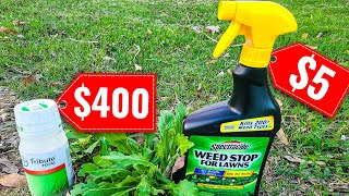I Tested a $5 vs $400 Weed Control Product
