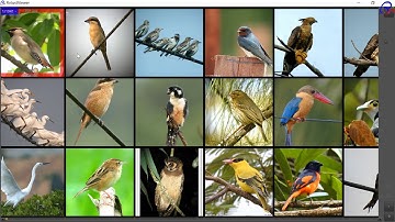 RvJustViewer, The most easy and fantasy Image Viewer.