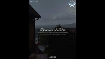 ..فَأْوُوا إِلَى الْكَهْفِ يَنْشُرْ لَكُمْ رَبُّكُمْ مِنْ رَحْمَتِهِ..القارئ ‎#خالد_الجليل #تلاوة #