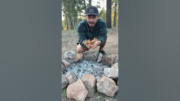 How to start a FIRE with Flint and Steel 🔥 #survival #fire