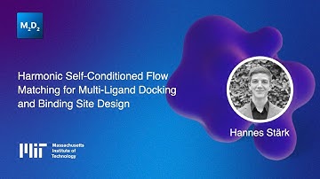 Harmonic Self-Conditioned Flow Matching for Multi-Ligand Docking and More | Hannes Stark