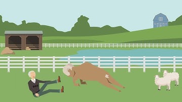 Rhodes v. MacHugh Case Brief Summary | Law Case Explained