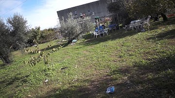 Taulabs new AutoTuning