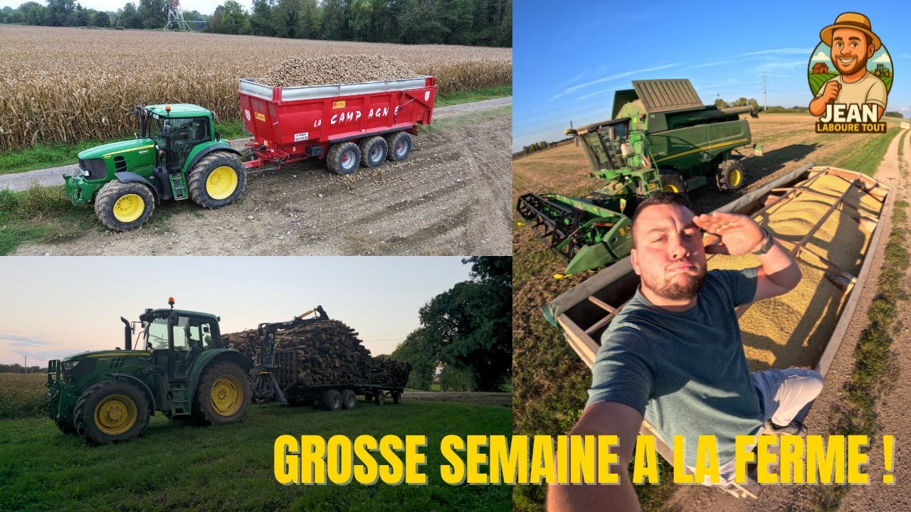 13 Une semaine de dingue : soja, tournesols, patates et tronçonneuse ! 😅🚜