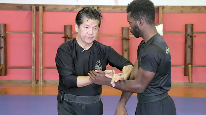 Francis Fong Instructor Association | Wing Chun Tr...